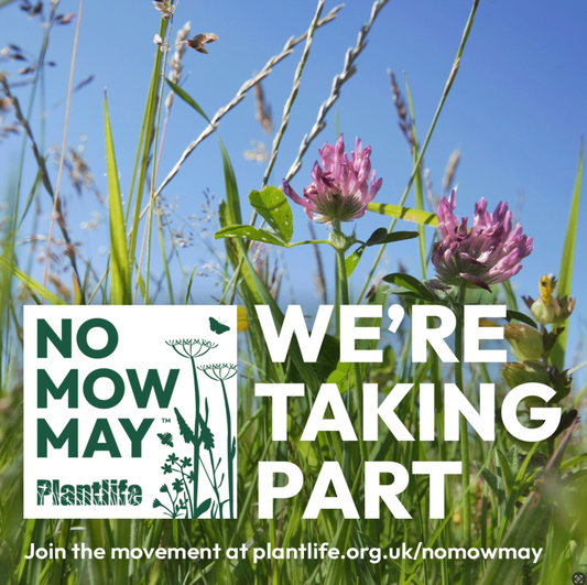 No Mow May